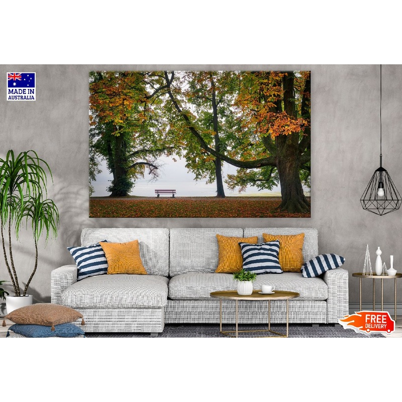 Autumn Old Trees Garden Photograph Print 100% Australian Made