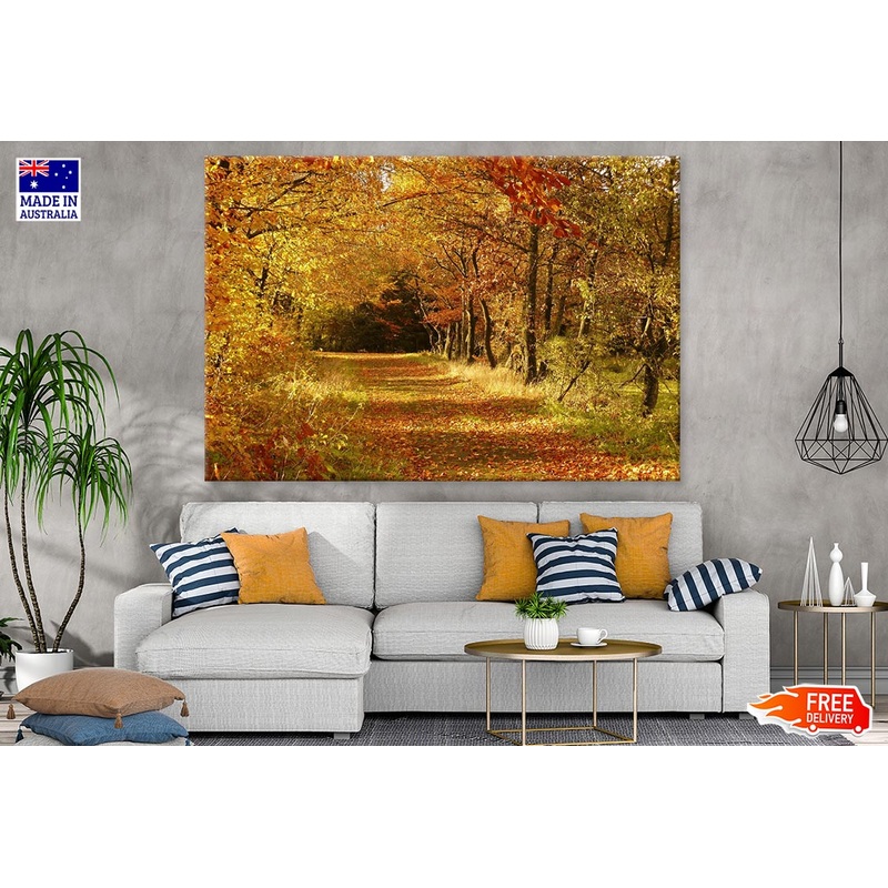 Autumn Tree Forest Photograph Print 100% Australian Made