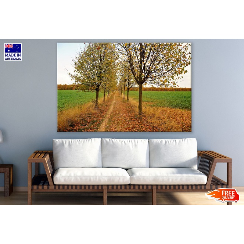 Autumn Trees & Footpath Photograph Print 100% Australian Made