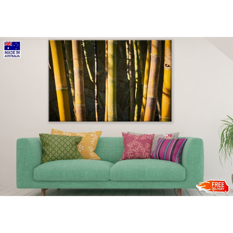 Bamboo Tree Forest Photograph Print 100% Australian Made