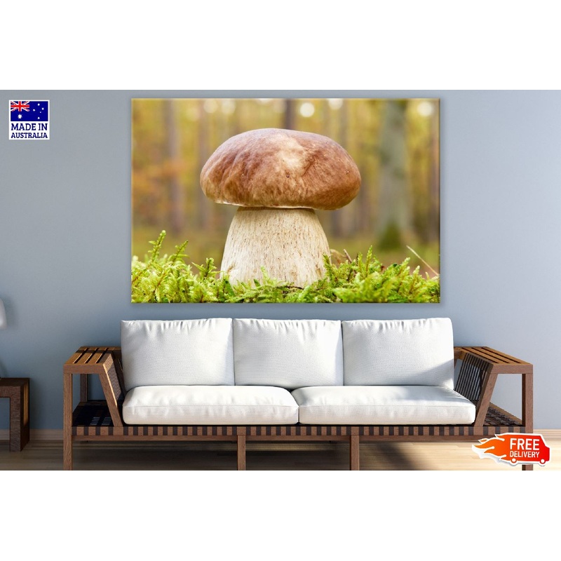 Boletus Edulis Mushroom Hat Photograph Print 100% Australian Made