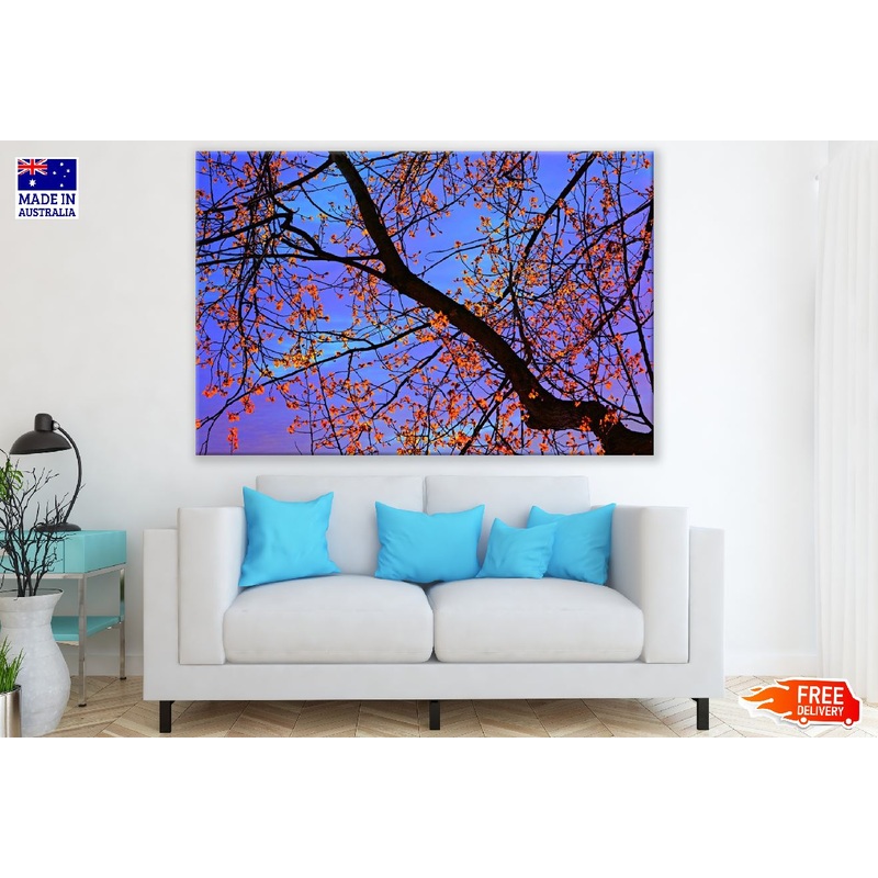 Branch Leaf Foliage View From Below Print 100% Australian Made