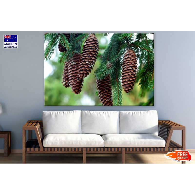 Brown Pine Cones Photograph Print 100% Australian Made