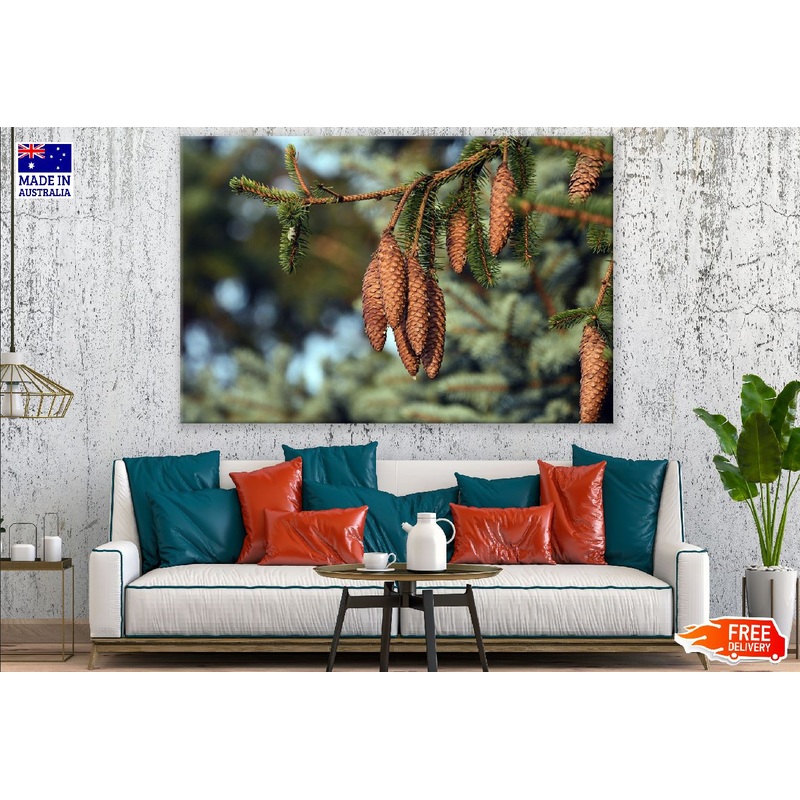 Brown Pine Cones Tree Photograph Print 100% Australian Made