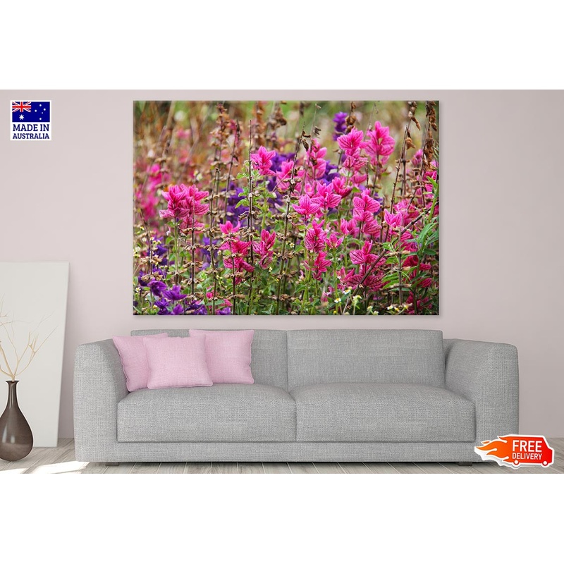 Colorful Flower Plants Field Photograph Print 100% Australian Made