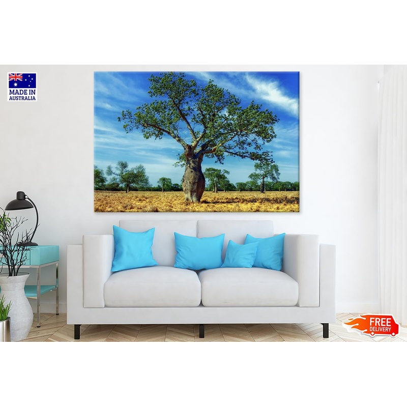 Huge Tree in Dry Ground Photograph Print 100% Australian Made