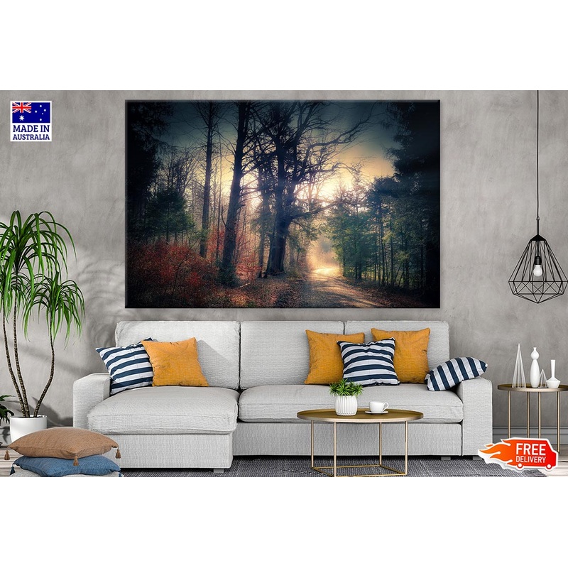 Misty Forest Sunset View Photograph Print 100% Australian Made