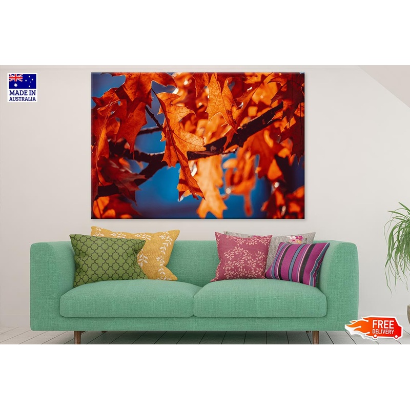 Orange Leaves Closeup Photograph Print 100% Australian Made