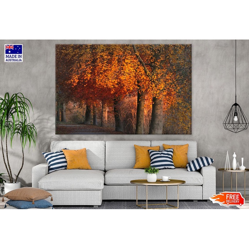 Orange Leaves Trees Row Photograph Print 100% Australian Made