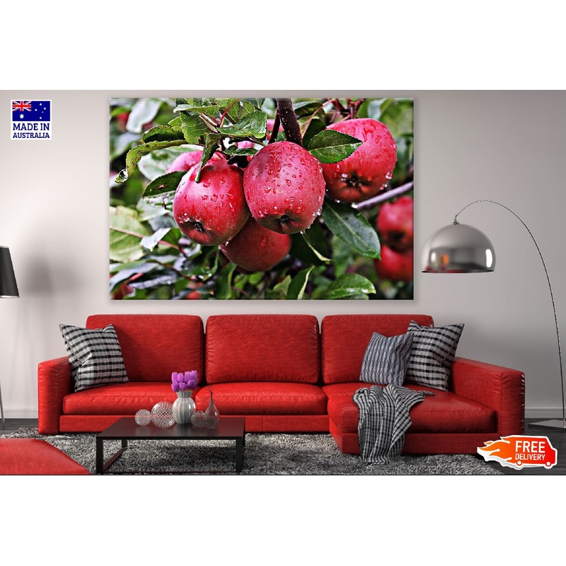 Red Apples & Leaves Closeup Photograph Print 100% Australian Made