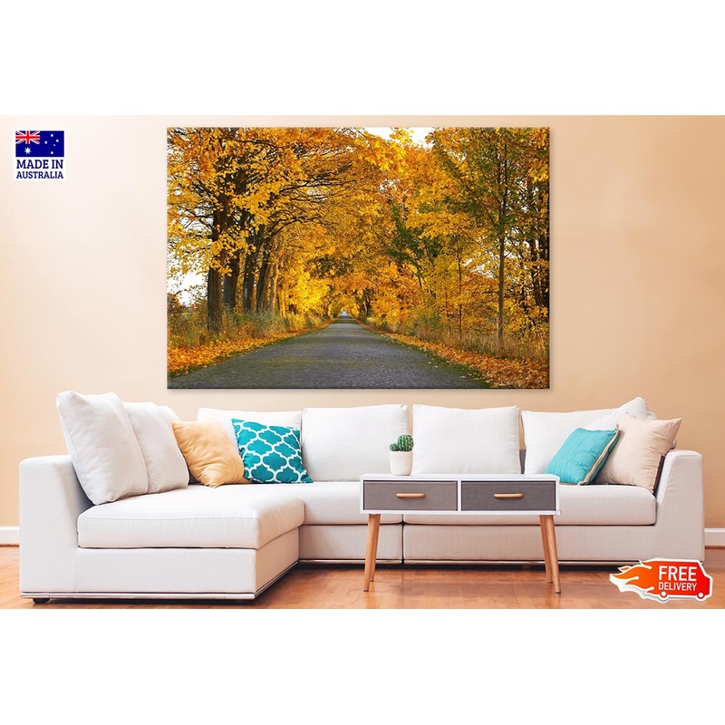 Road in Maple Tree Forest Photograph Print 100% Australian Made