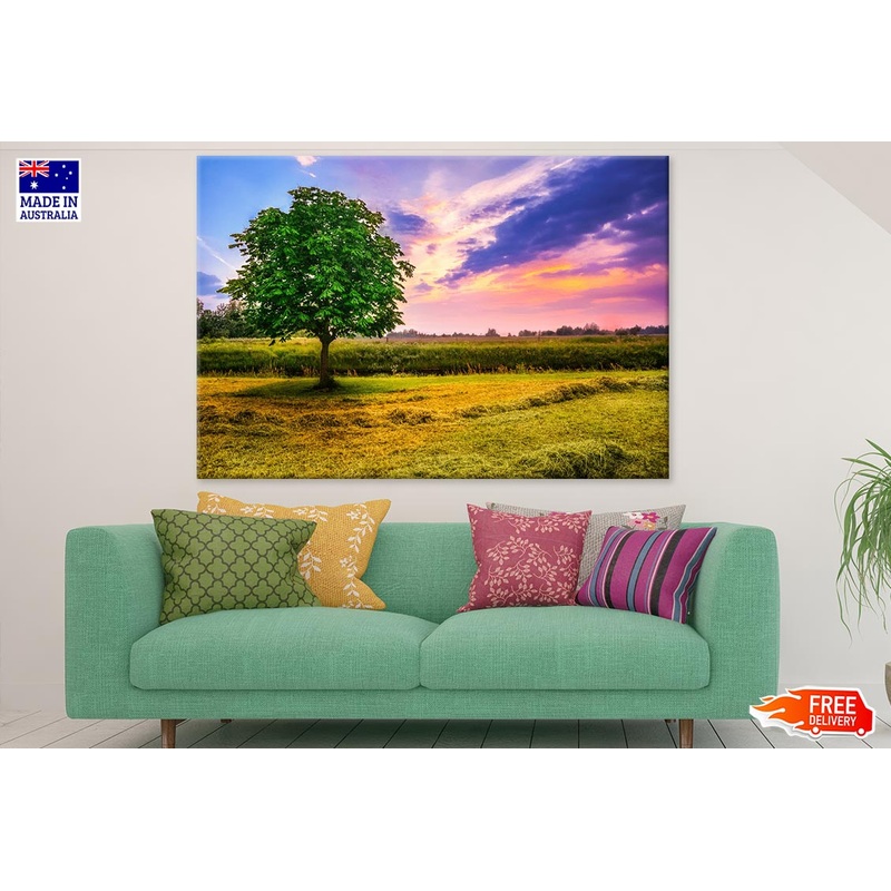 Tree in Field Sunset Scenery Photograph Print 100% Australian Made
