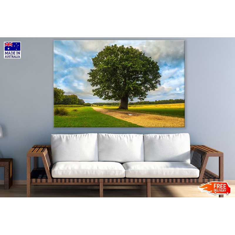 Tree on Grass Field Photograph Print 100% Australian Made