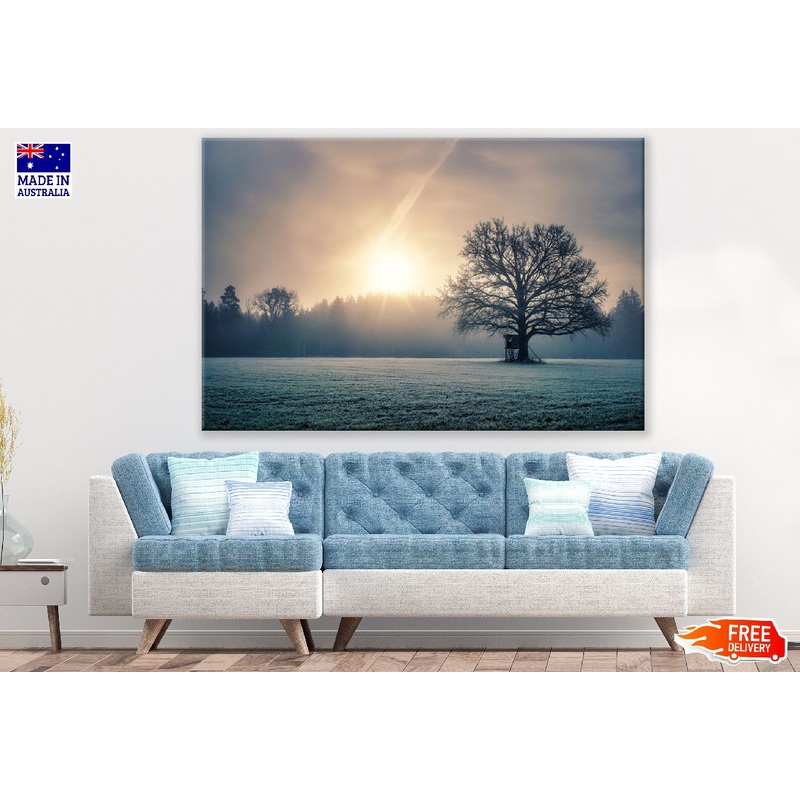 Tree on Snow Field Sunlight Photograph Print 100% Australian Made