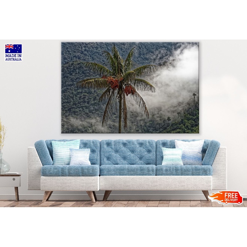 Wax Palm Tree Photograph Print 100% Australian Made