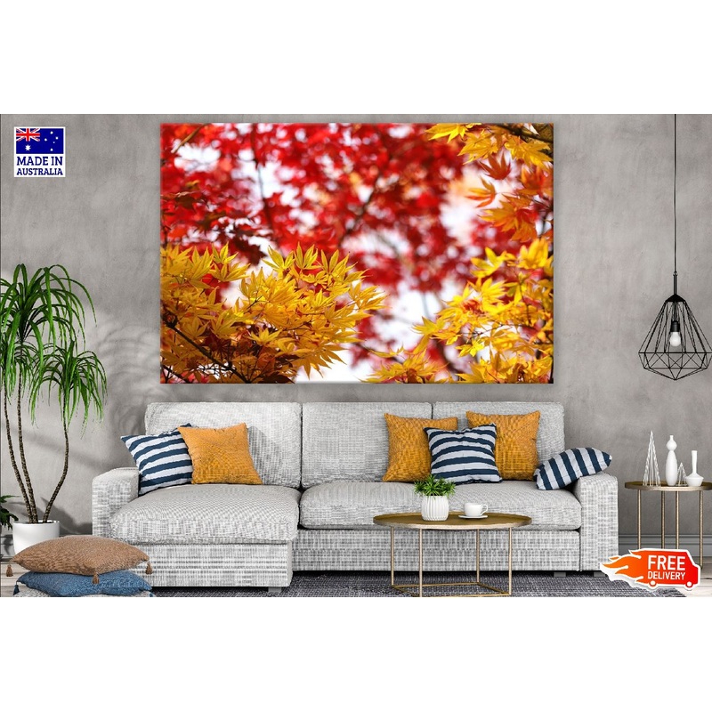 Yellow Maple Leaves Branch Photograph Print 100% Australian Made