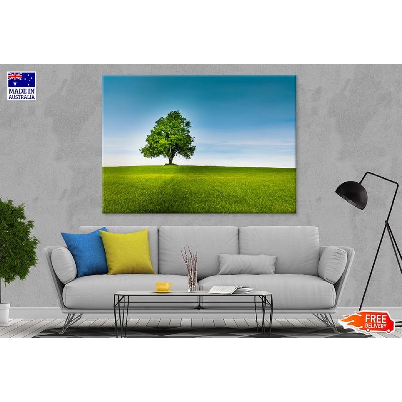 Alone Tree in Green Field & Sky View Photograph Print 100% Australian Made