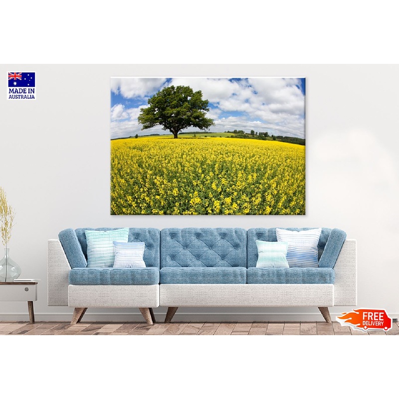 Alone Tree in Yellow Flower Field Photograph Print 100% Australian Made