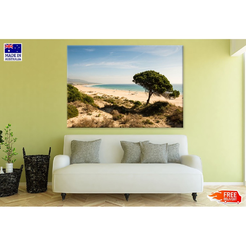 Alone Tree Near Seashoe View Photograph Print 100% Australian Made
