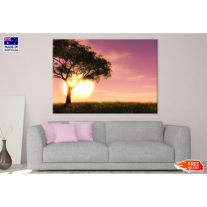 Alone Tree on Grass Sunset View Photograph Print 100% Australian Made
