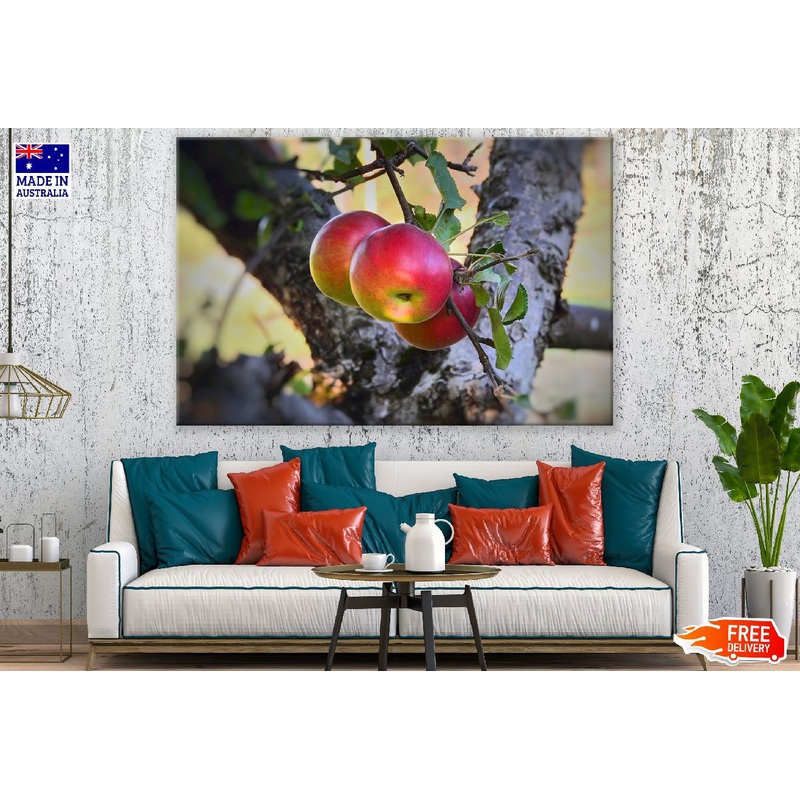 Apple Fruits & Leaves Photograph Print 100% Australian Made