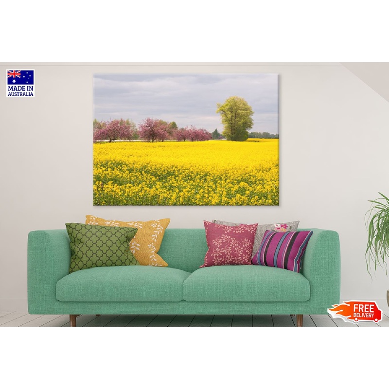 Apple Trees in Flower Field View Photograph Print 100% Australian Made