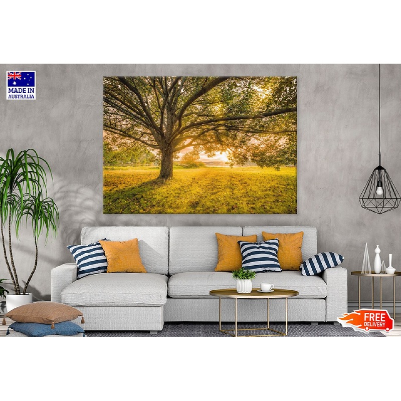 Autumn Large Tree Sunset View Photograph Print 100% Australian Made