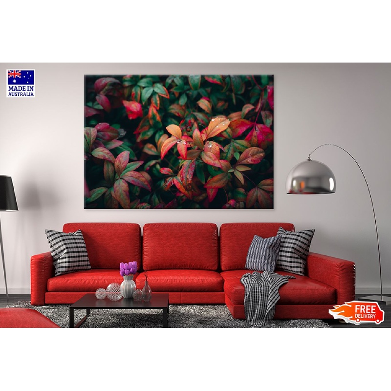 Autumn Leaves Tree View Photograph Print 100% Australian Made