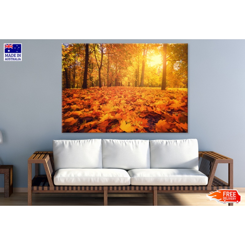Autumn Leaves & Trees Sunset Photograph Print 100% Australian Made