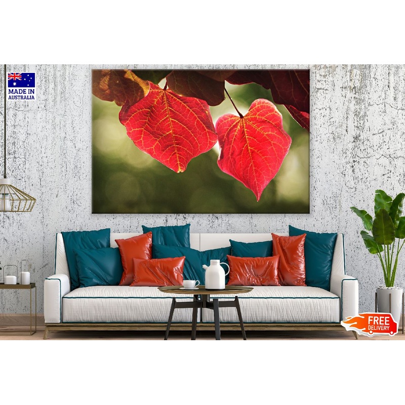 Autumn Red Leaves Photograph Print 100% Australian Made