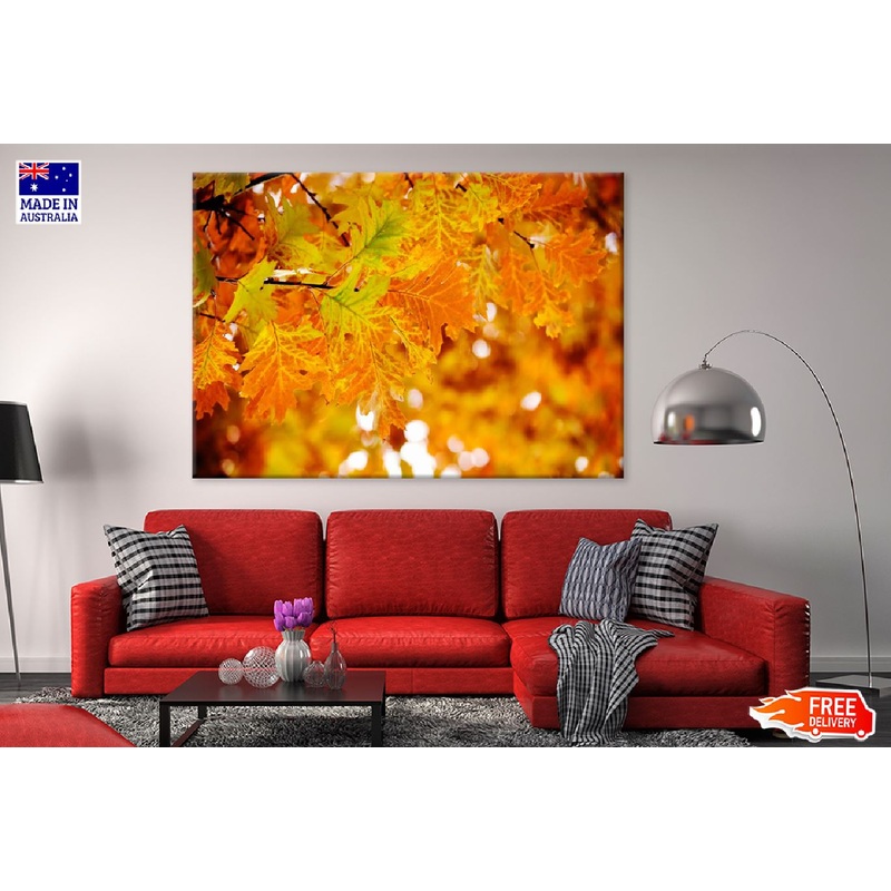 Autumn Tree Leaves Branch View Photograph Print 100% Australian Made