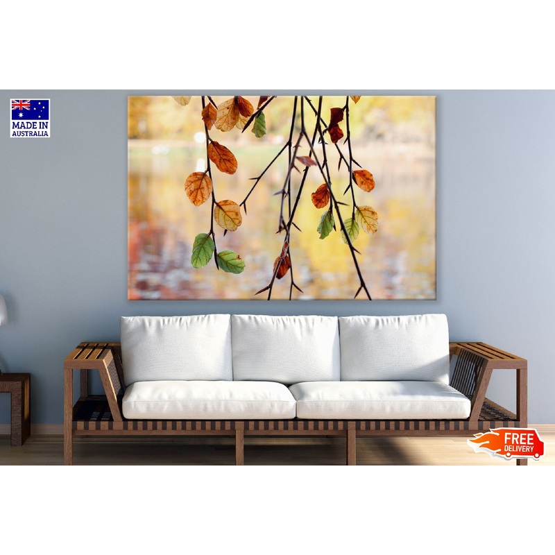Autumn Tree Leaves Photograph Print 100% Australian Made