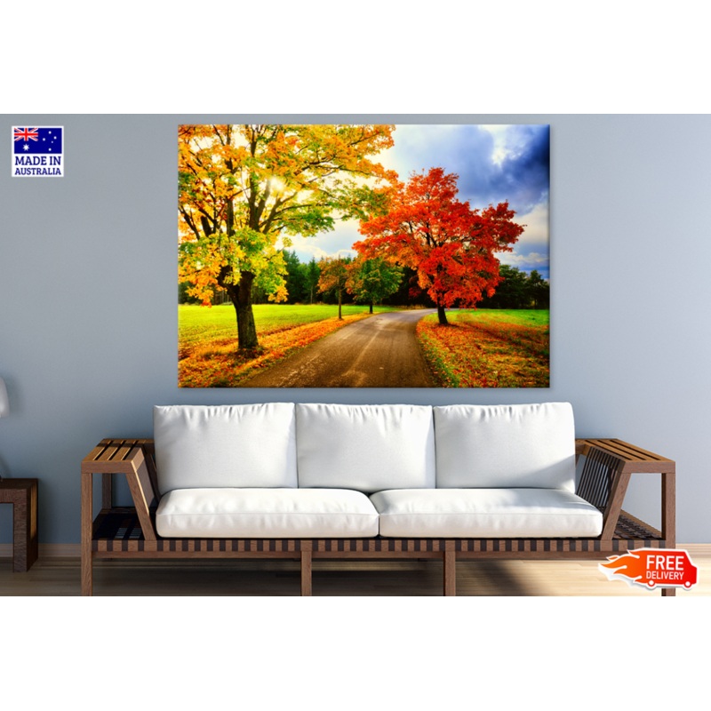 Autumn Trees & Road Photograph Print 100% Australian Made