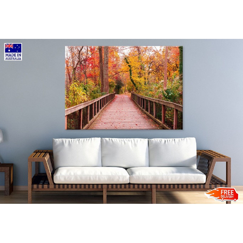 Autumn Trees & Wooden Pathway Photograph Print 100% Australian Made