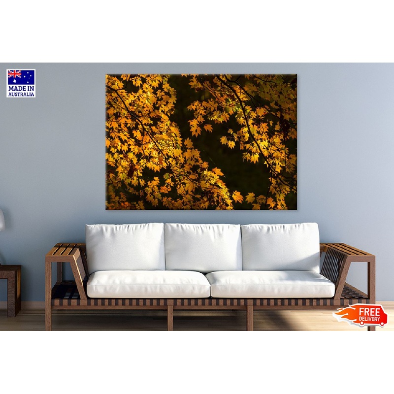 Autumn Yellow Leaves Tree View Photograph Print 100% Australian Made