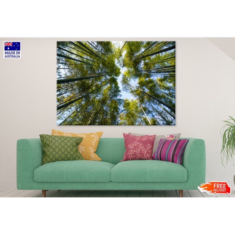 Below Trees & Sky View Photograph Print 100% Australian Made