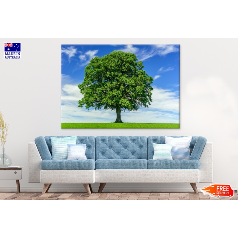 Big Treee & Blue Sky View Photograph Print 100% Australian Made