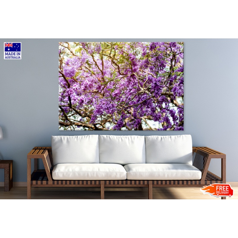 Blossom Flower Trees Photograph Print 100% Australian Made