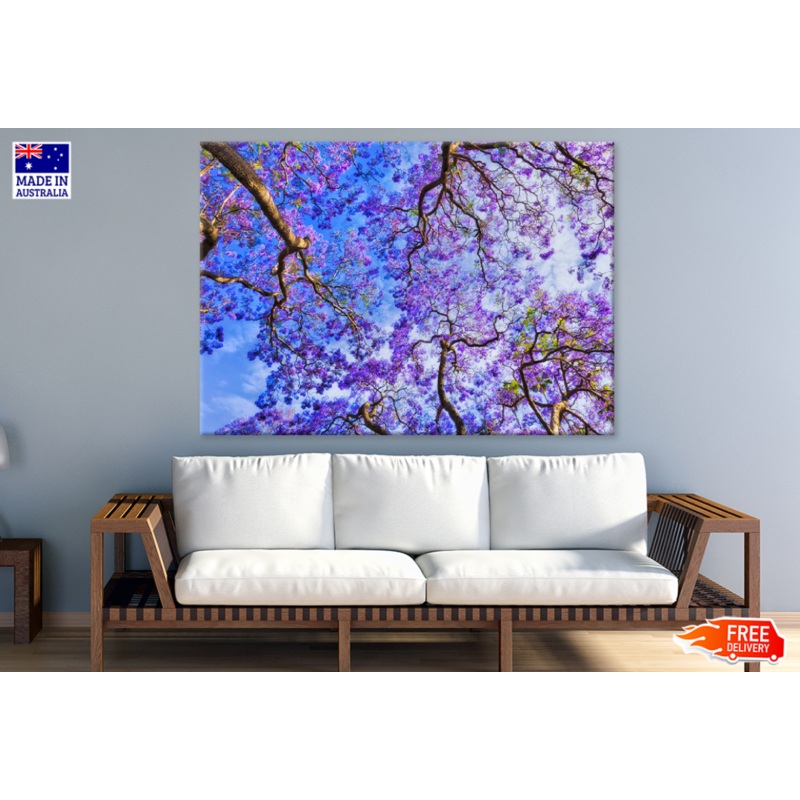 Blossom Flower Trees View Photograph Print 100% Australian Made