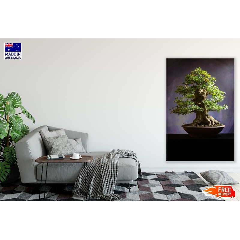 Bonsai Tree View Photograph Print 100% Australian Made