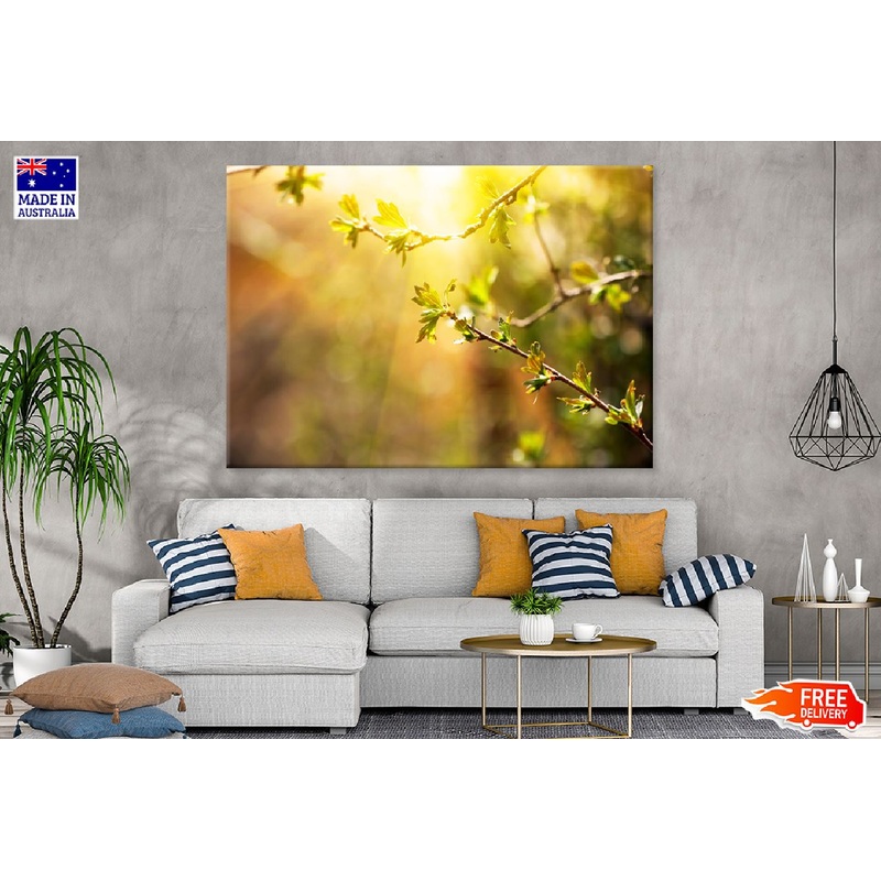 Branch with Spring Leaves Sunset View Photograph Print 100% Australian Made