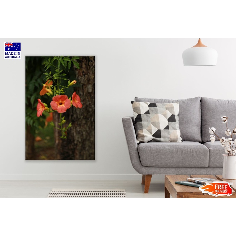 Campsis Jacaranda Flower Tree Photograph Print 100% Australian Made