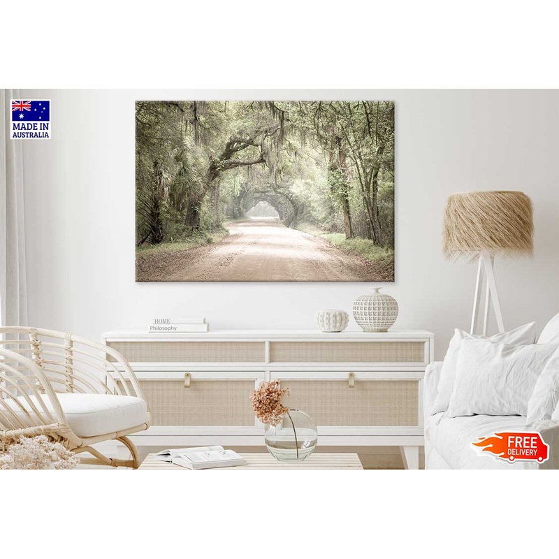Charleston SC Dirt Road Forest View Photograph Print 100% Australian Made
