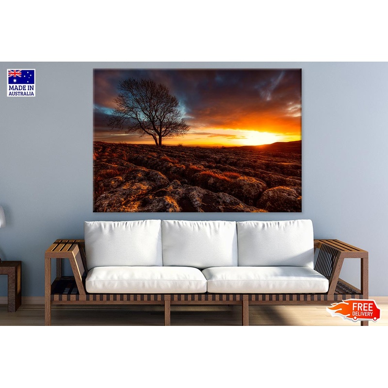 Tree at Sunset Scenery View Photograph Print 100% Australian Made