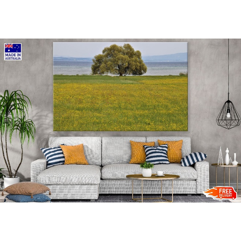 Tree on Grass Field Near Lake Photograph Print 100% Australian Made