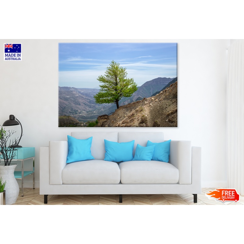 Tree On Rock Mountain & Sky View Photograph Print 100% Australian Made