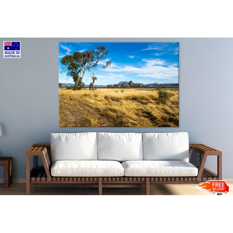Tree & Sky View Photograph Print 100% Australian Made