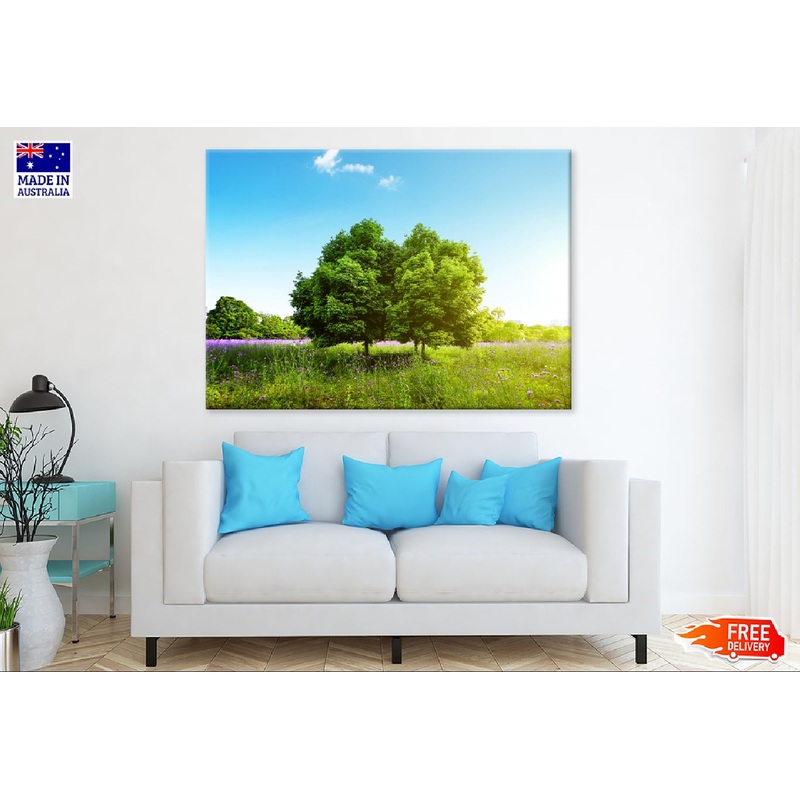 Trees on Grass Field Sky View Photograph Print 100% Australian Made