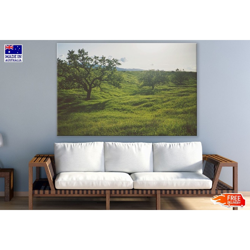 Trees on Green Grass Field Photograph Print 100% Australian Made