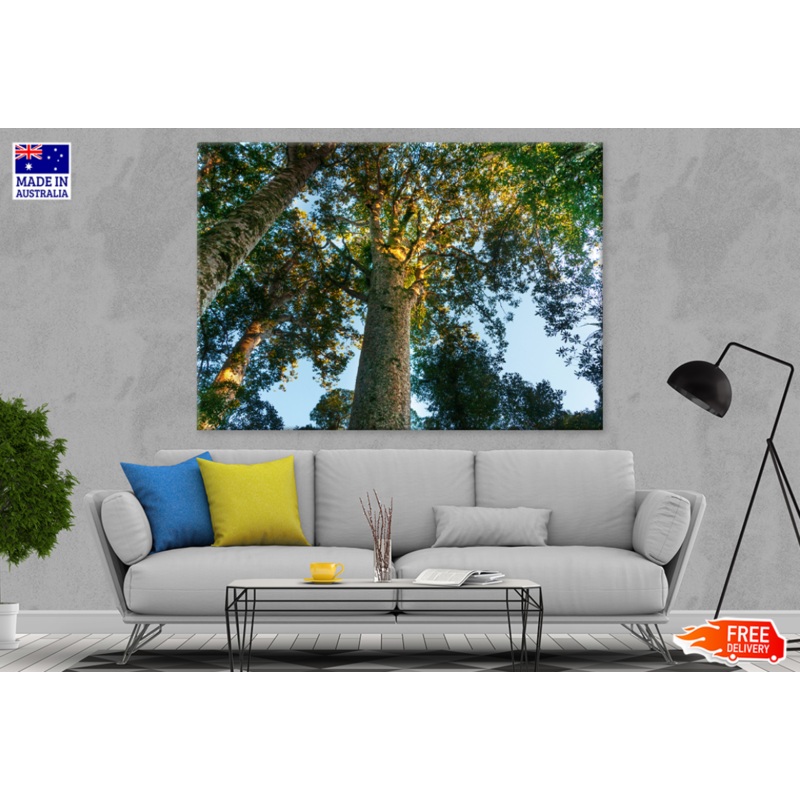 Trees & Sky View Photograph Print 100% Australian Made